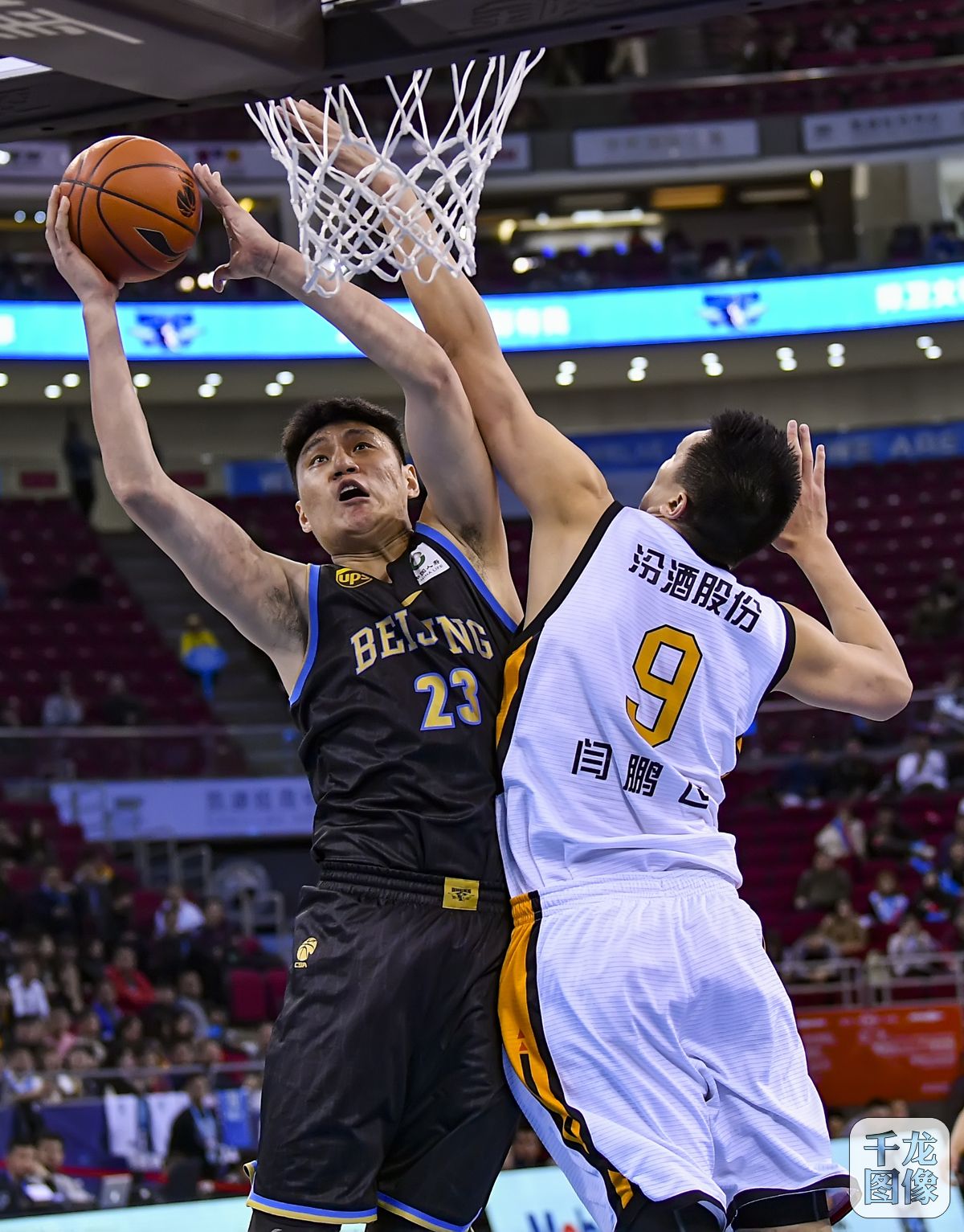 的后卫组合 的后卫组合